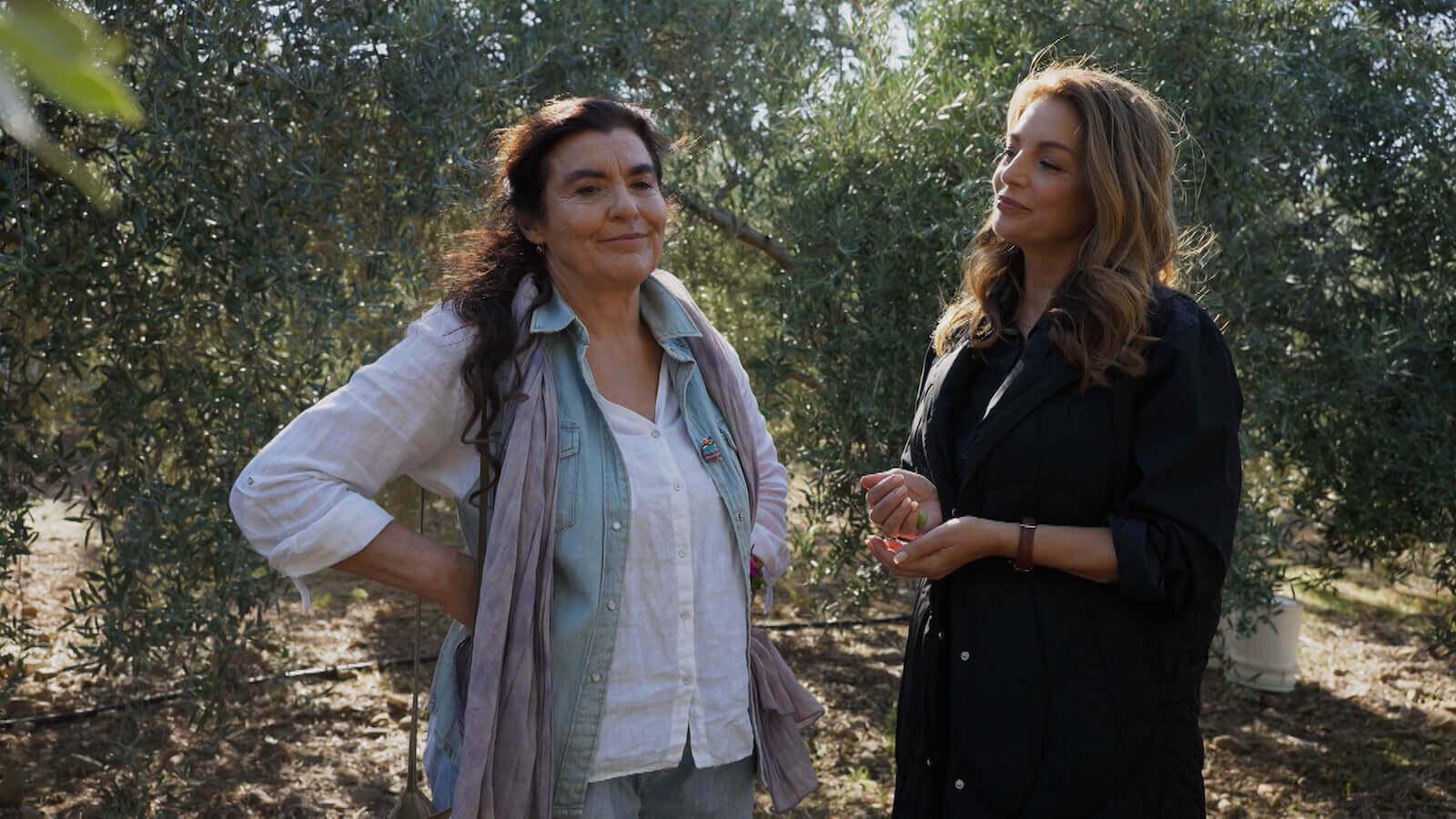 Η Γη της ελιάς: Το μυστικό που κρύβουν τα δαχτυλίδια των Βρεττάκων