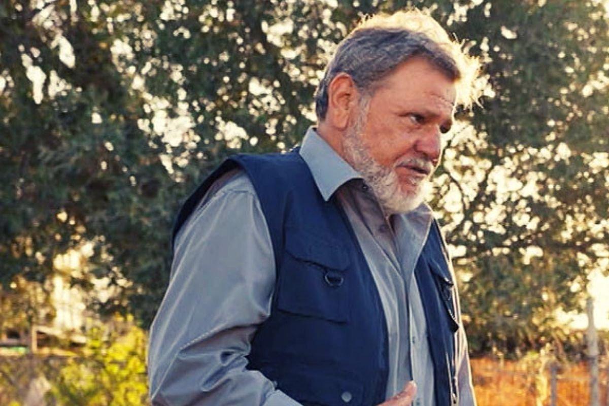 Η Γη της ελιάς: Το μυστικό που κρύβουν τα δαχτυλίδια των Βρεττάκων