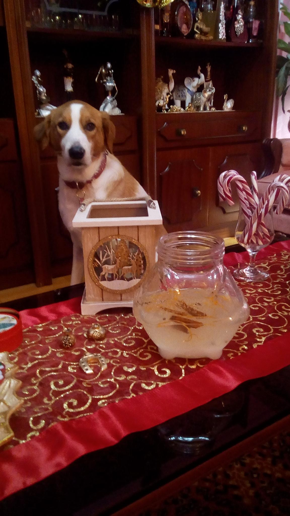 Πρωτοχρονιάτικο- λικέρ- κανέλας- με -άρωμα- πορτοκαλιού-