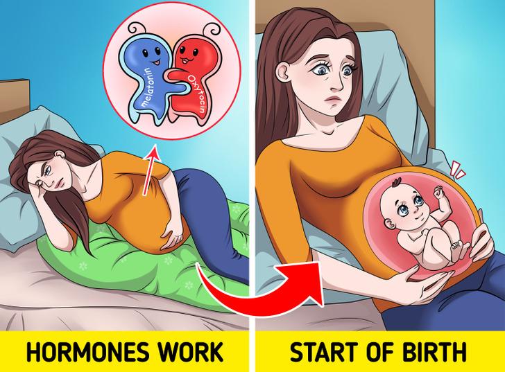 μελέτη-αποκαλύπτει-γιατί-τα-περισσότερα-μωρά-γεννιούνται-βράδυ-