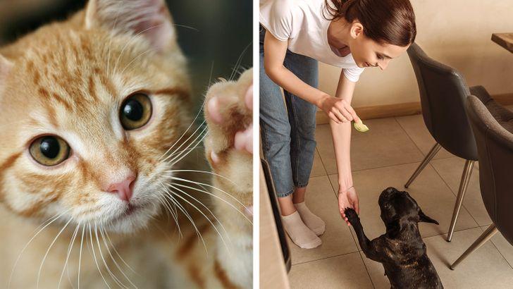 7-πράματα-που-δεν-γνώριζες-για-τους-αριστερόχειρες-