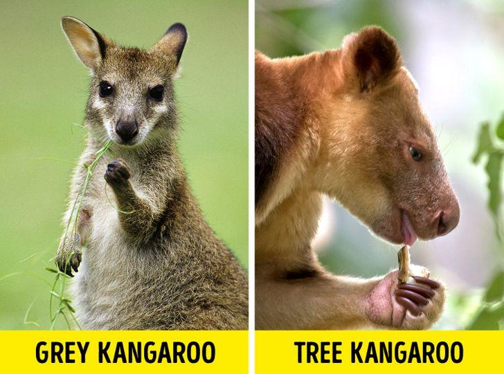 7-πράματα-που-δεν-γνώριζες-για-τους-αριστερόχειρες-