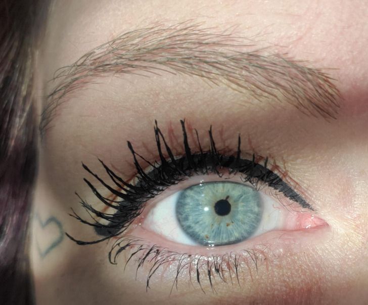 16-άνθρωποι-και-ζώα-που-ξεχωρίζουν-μέσα-από-τη-διαφορετικότητά-τους-