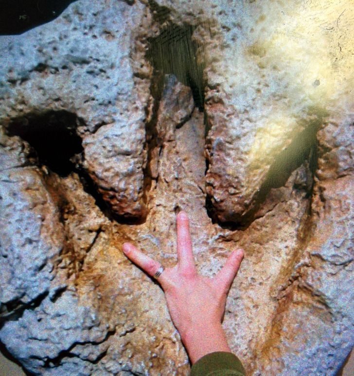 16-άνθρωποι-και-ζώα-που-ξεχωρίζουν-μέσα-από-τη-διαφορετικότητά-τους-