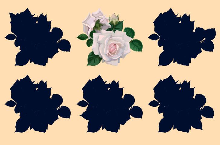 τεστ-παρατηρητικότητας-