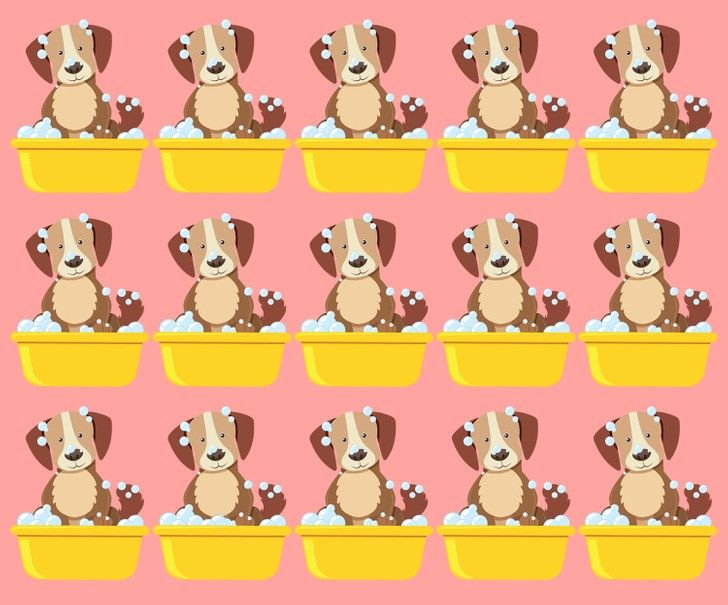 τεστ-παρατηρητικότητας-