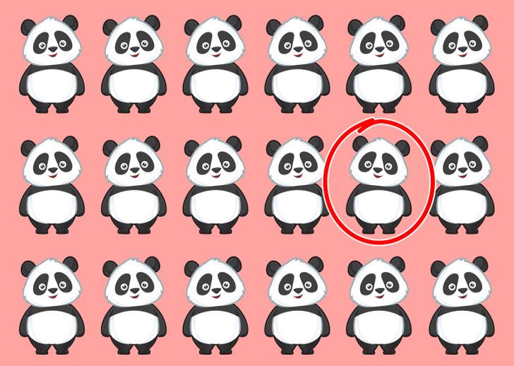 τεστ-παρατηρητικότητας-