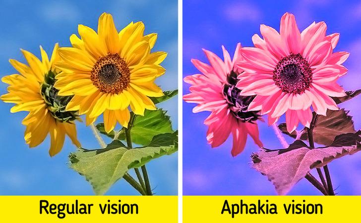 10-πράγματα-που-αφορούν-το-ανθρώπινο σώμα-και-μόνο-λίγοι-άνθρωποι-μπορούν-να-κάνουν-