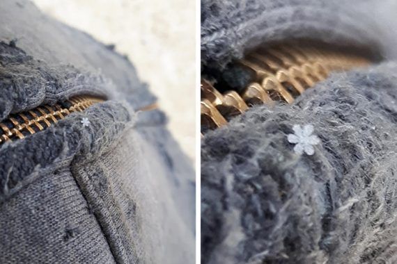 25 εικόνες που δείχνουν ότι η μητέρα φύση μπορεί να γίνει καλλιτέχνης τον Χειμώνα