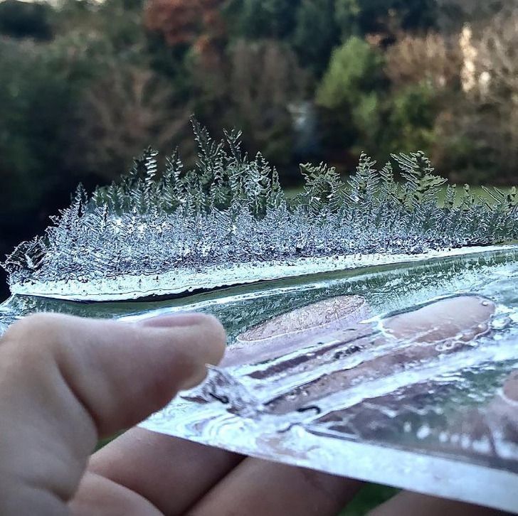 εικόνες-που-δείχνουν-ότι-η-φύση-κάνει-θαύματα-τον-Χειμώνα-