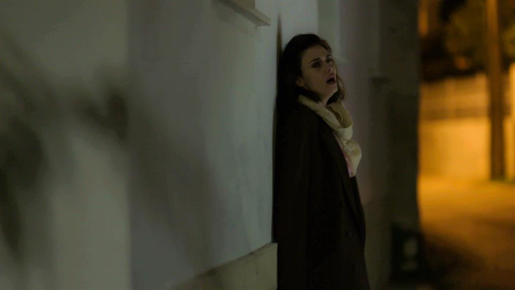 Άγριες Μέλισσες: Ο Λάμπρος δεν αντιδρά καλά με την εγκυμοσύνη της Ελένης