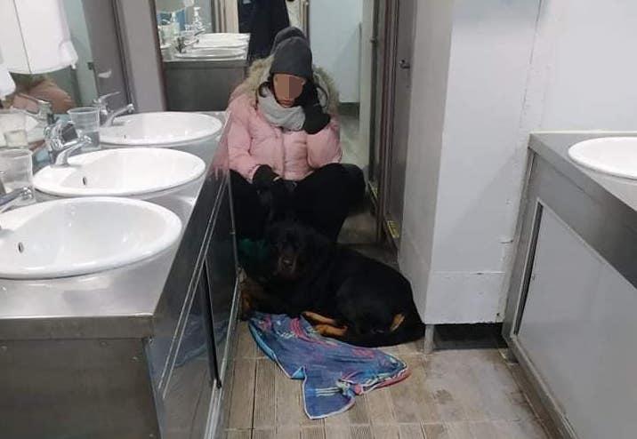 Βόλος: Ταξίδι κόλαση για 5 ώρες σε τουαλέτα πλοίου για το σκύλο
