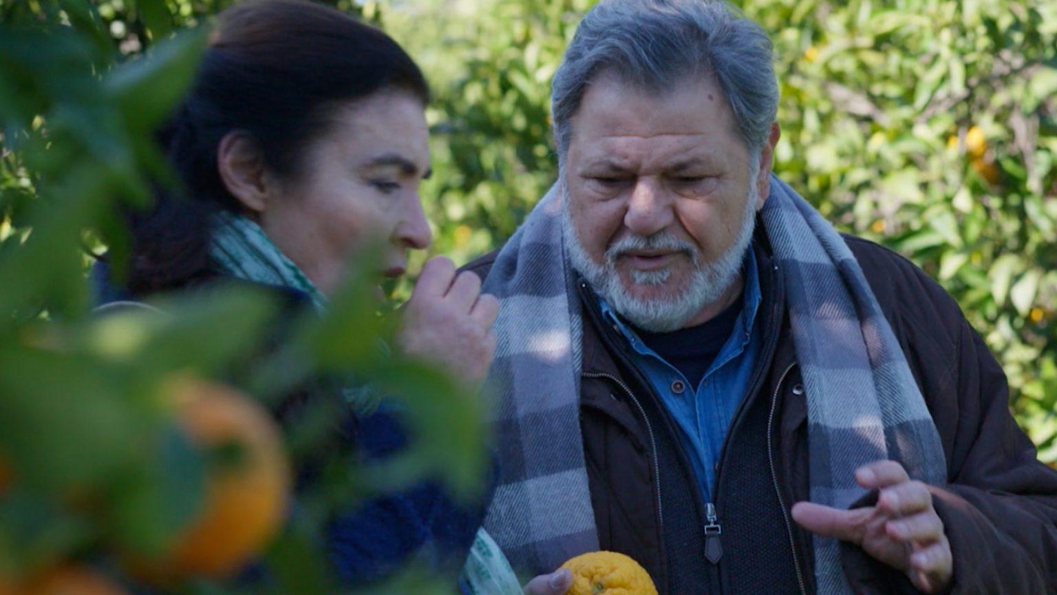 Η Γη της Ελιάς: Η Χάιδω παρακαλάει τον Στάθη να συγχωρέσει την κόρη του