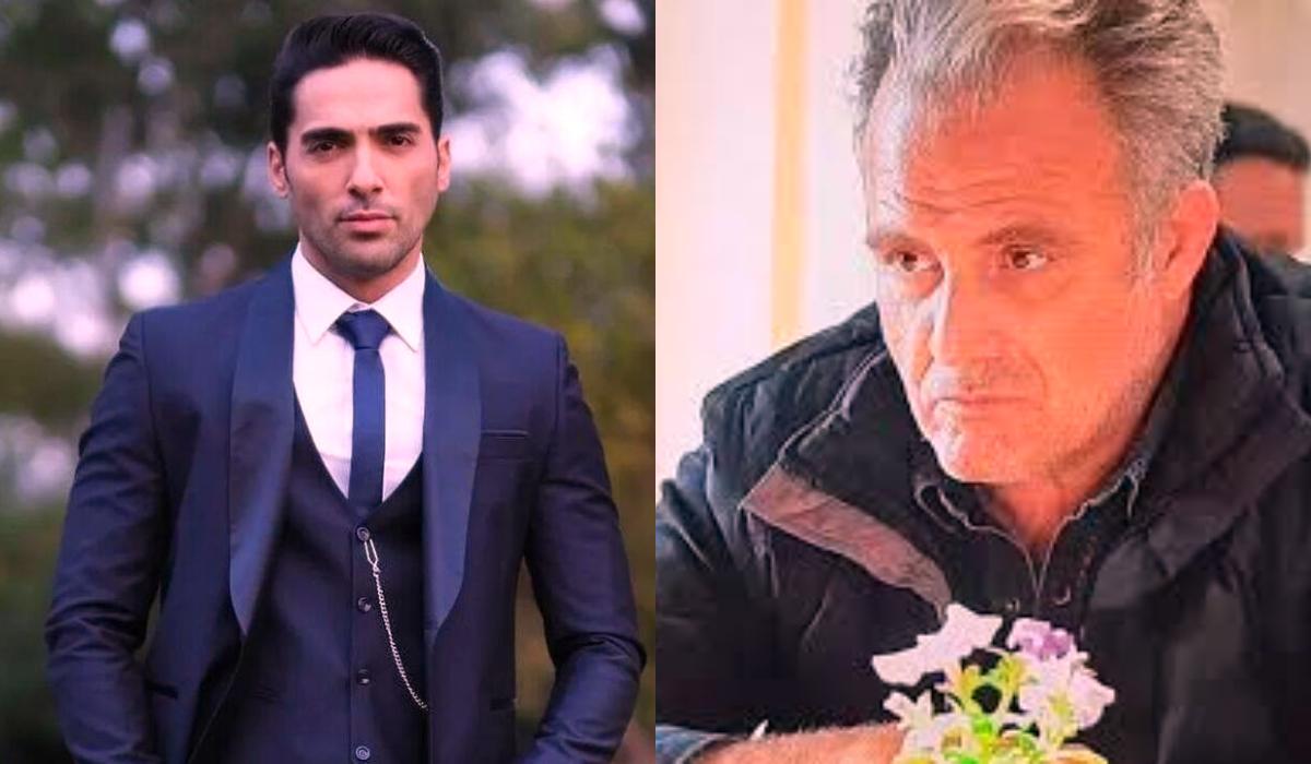 Η- Γη- της- Ελιάς -Κουράκος - Σταθης 