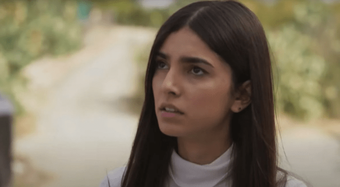 Γη-της-Ελιάς-Βασιλικη