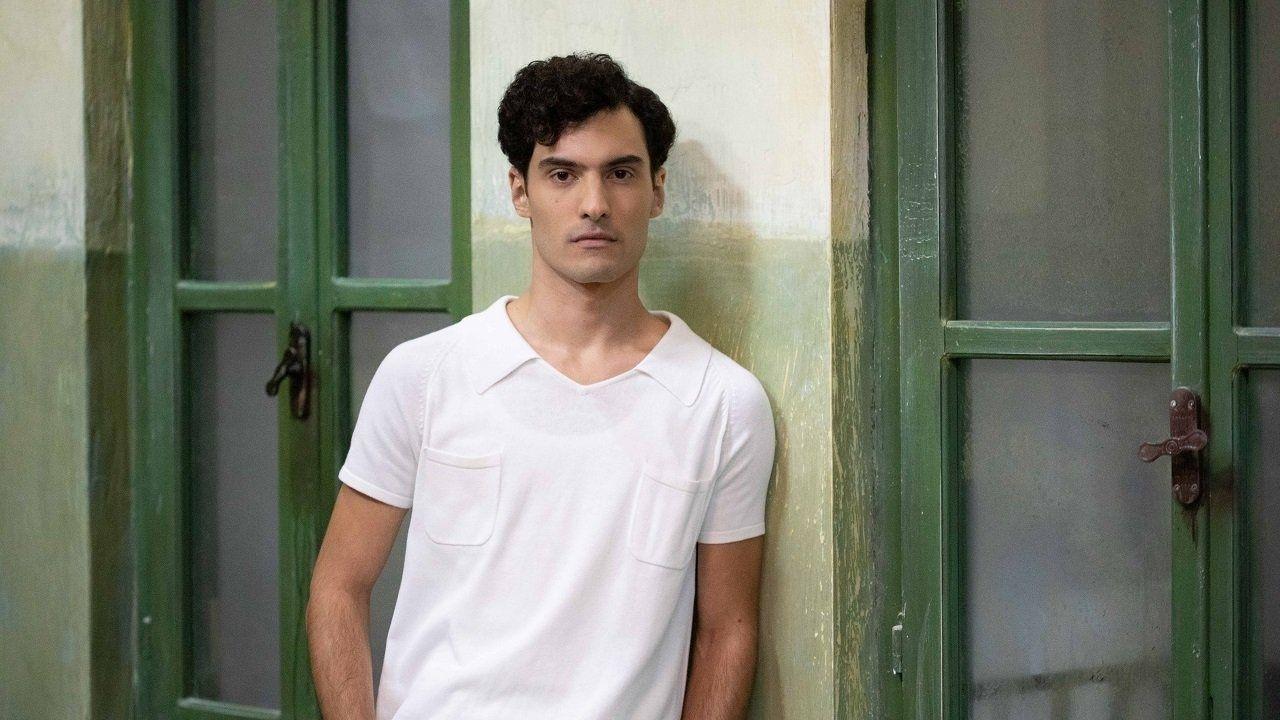 Άγριες- Μέλισσες -Ζωή -Λευτερης 