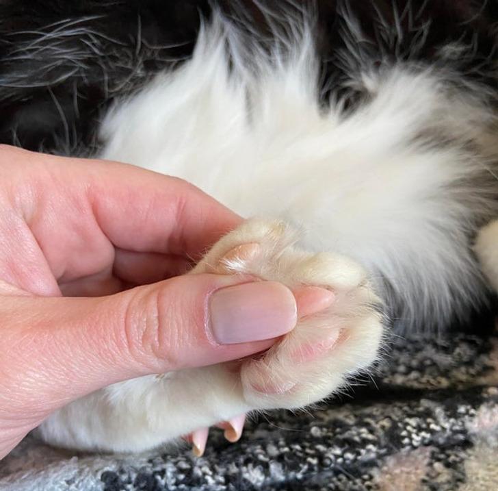 αστείες-φωτογραφίες-από-την-ημέρα-του-γάμου-