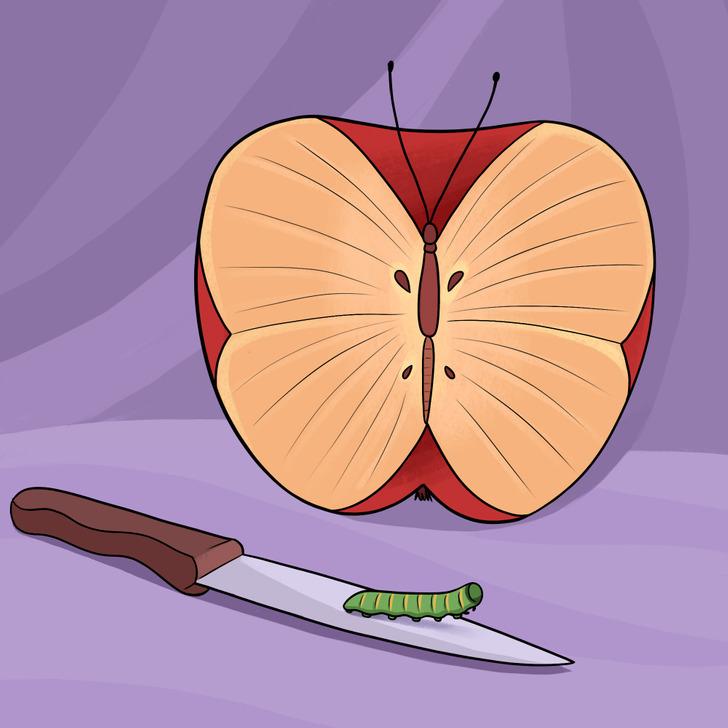 ψυχολογικό τεστ-αυτό-που-είδατε-πρώτο-στην-εικόνα-φανερώνει-τον-μεγαλύτερο-φόβο-σας-