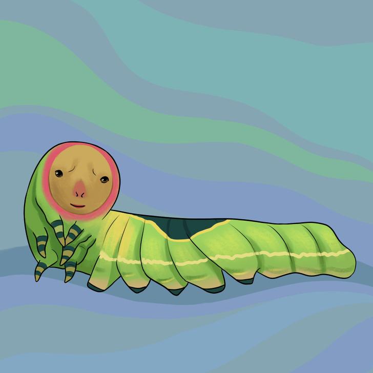 ψυχολογικό τεστ-αυτό-που-είδατε-πρώτο-στην-εικόνα-φανερώνει-τον-μεγαλύτερο-φόβο-σας-