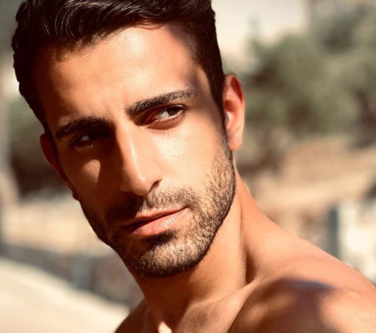 Η-Γη-της-Ελιάς-Αλέξης