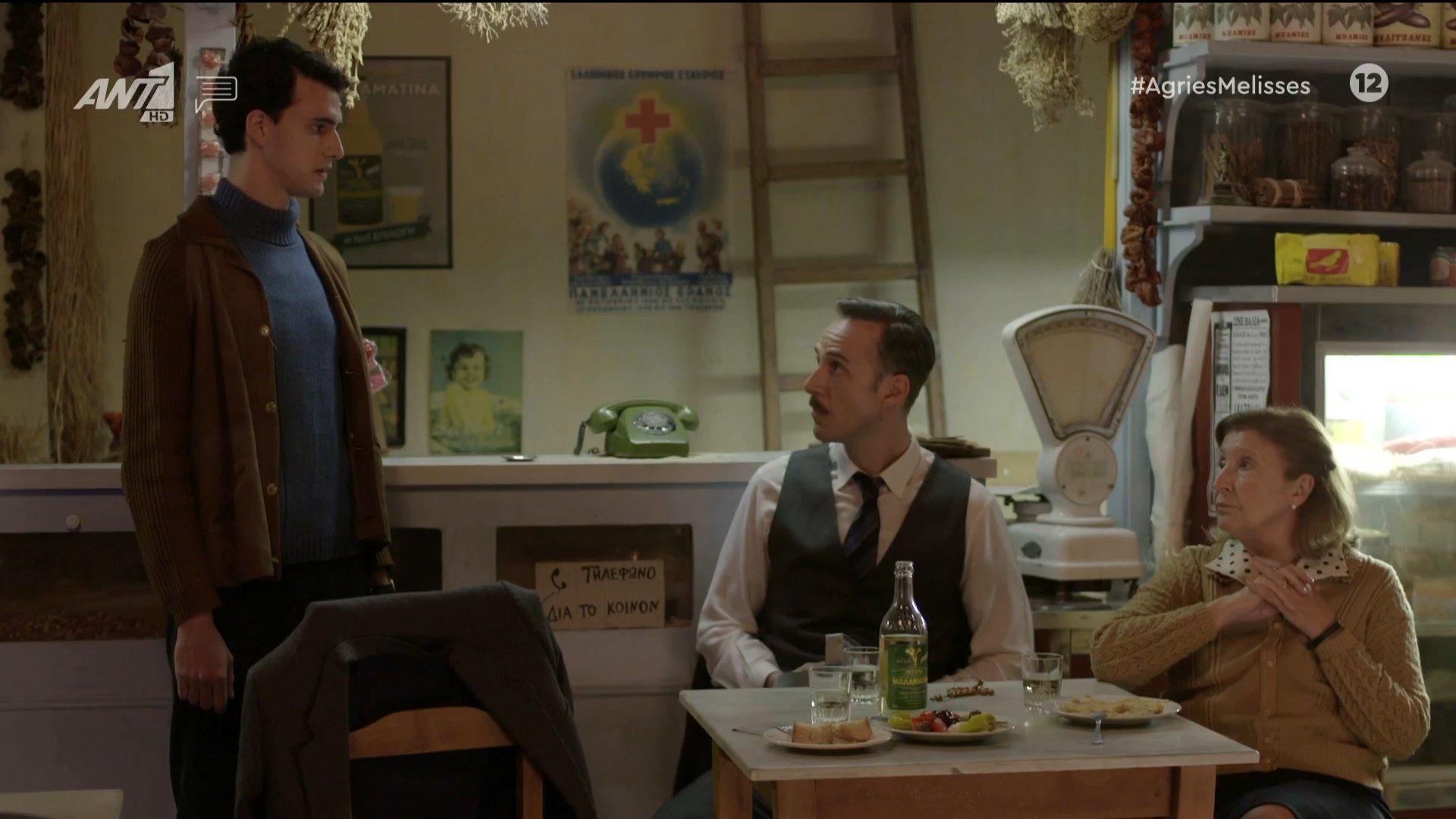 Άγριες Μέλισσες: Σε τραγική κατάσταση Παγώνα και Τόλλιας