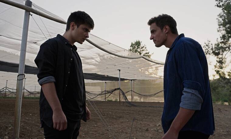 Η Γη της Ελιάς: Άγρια επίθεση του Στεφάνου στον Φίλιππο – Θα σε λιώσω φονιά