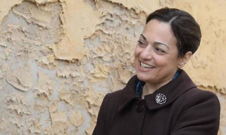 -Άγριες-Μέλισσες-Ρίζω-