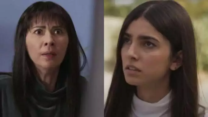 Η-Γη-της-Ελιάς-Βασιλική