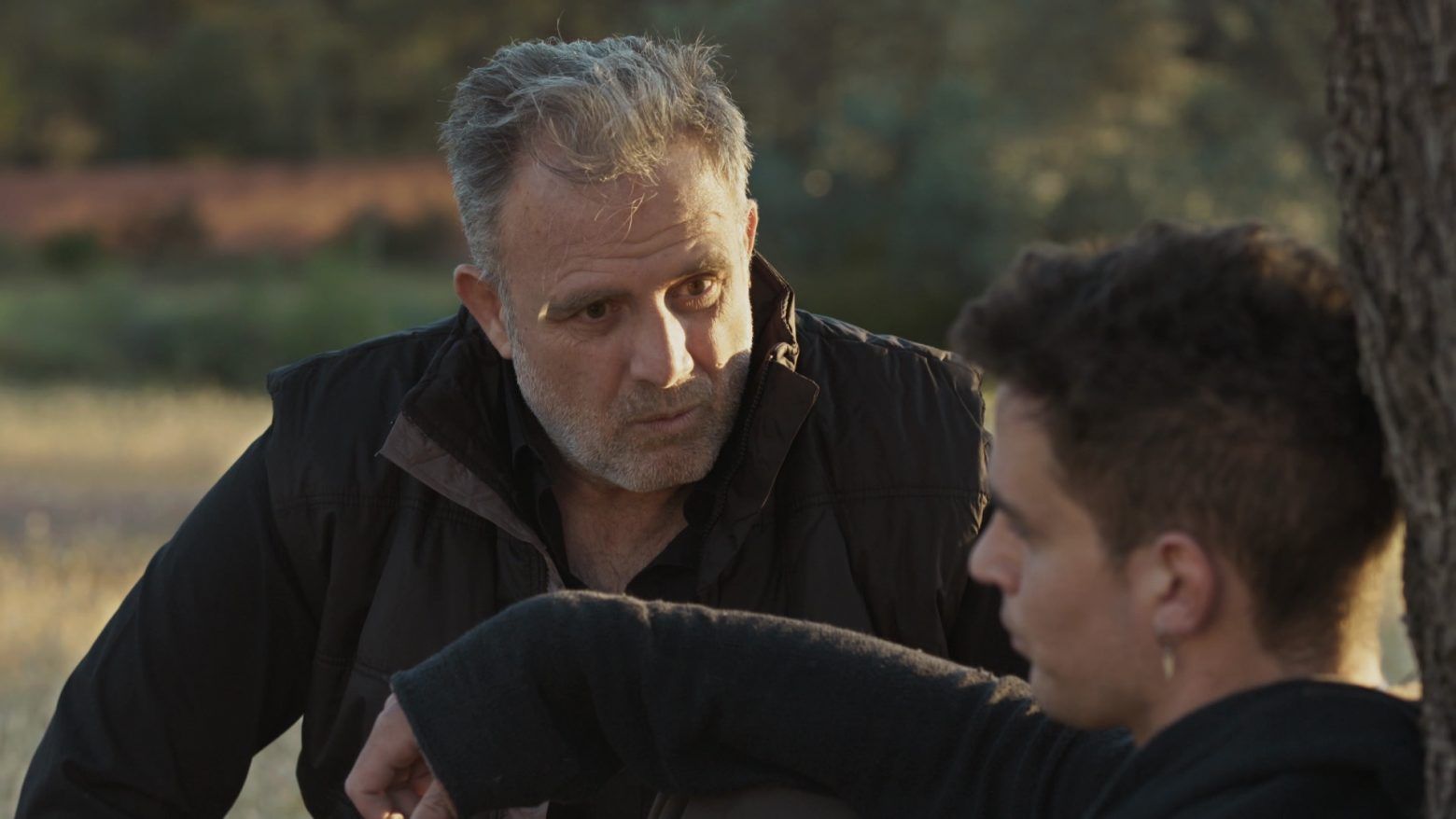 Η-Γη-της-Ελιάς-Στέφανος-Στάθης