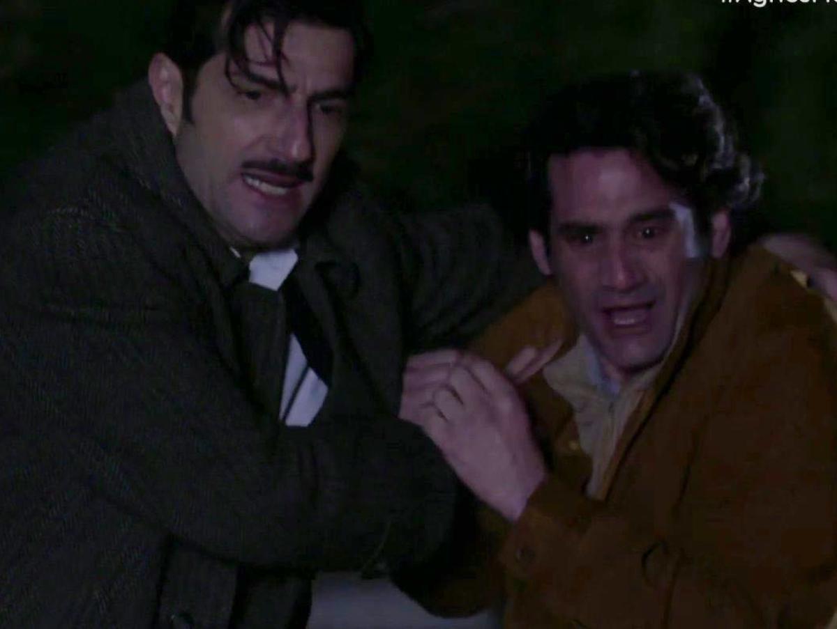 Άγριες Μέλισσες: O Ζάχος εξαφανίζεται