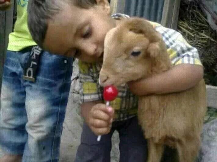 αστείες εικόνες-με-παιδιά- αστείες εικόνες-με-παιδιά-