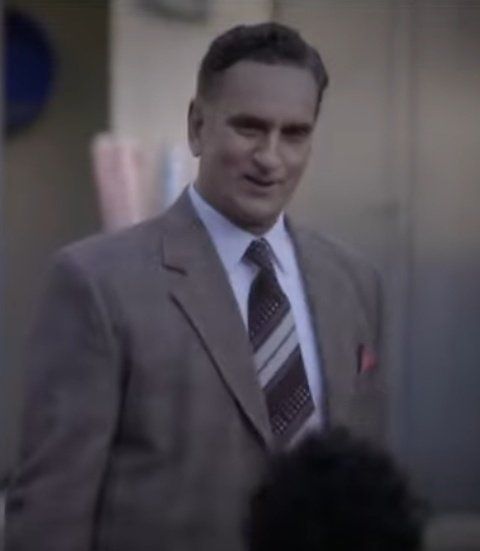 Άγριες-Μέλισσες-Σταμάτης