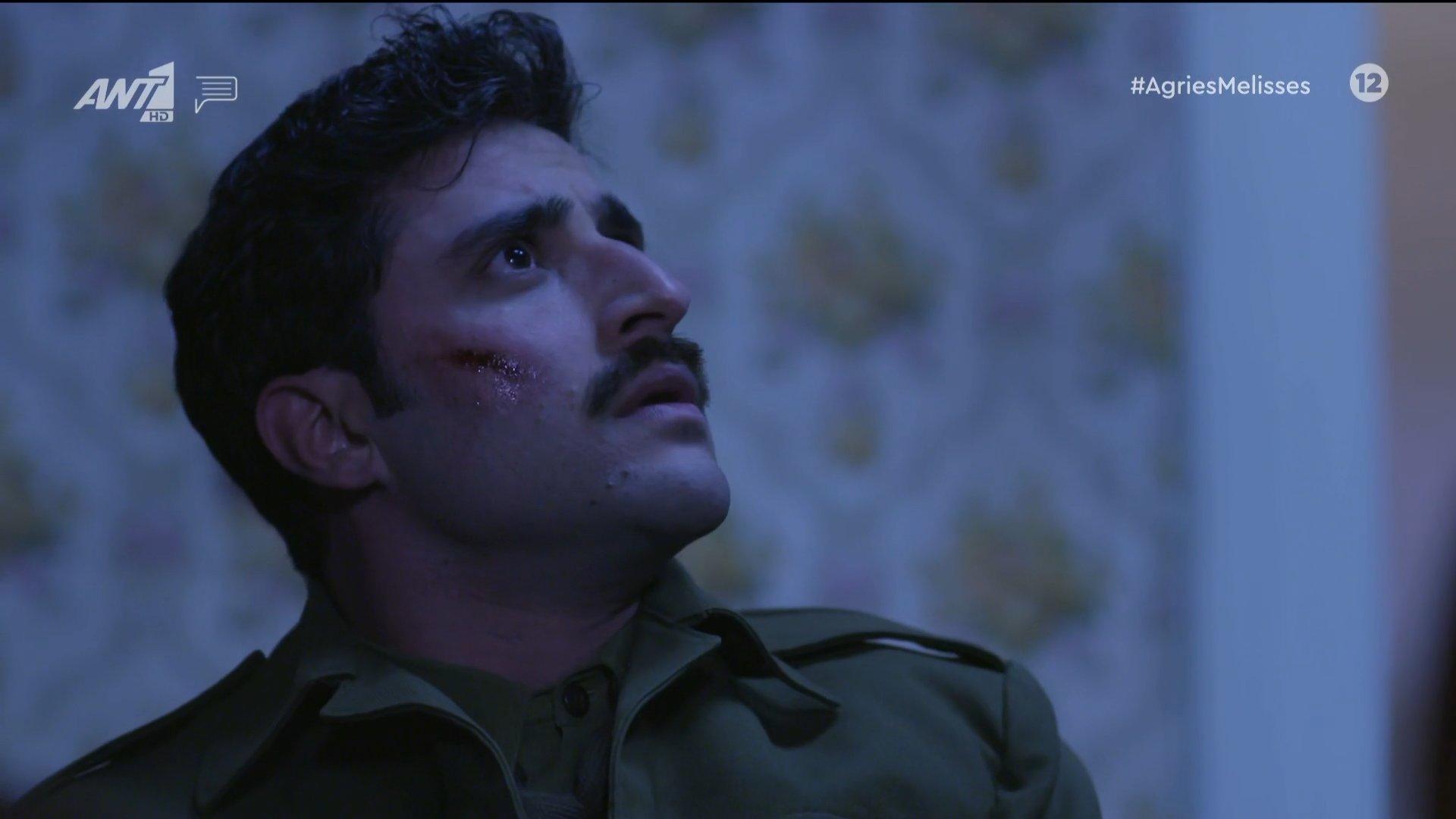 Άγριες-Μέλισσες-Μπάμπης