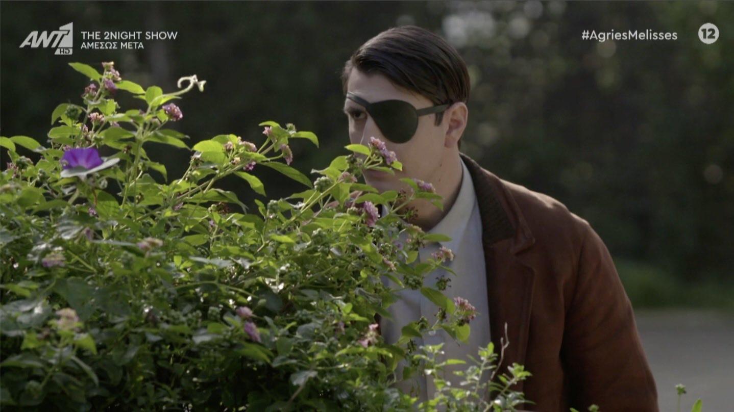 Άγριες-Μέλισσες-Μελέτης