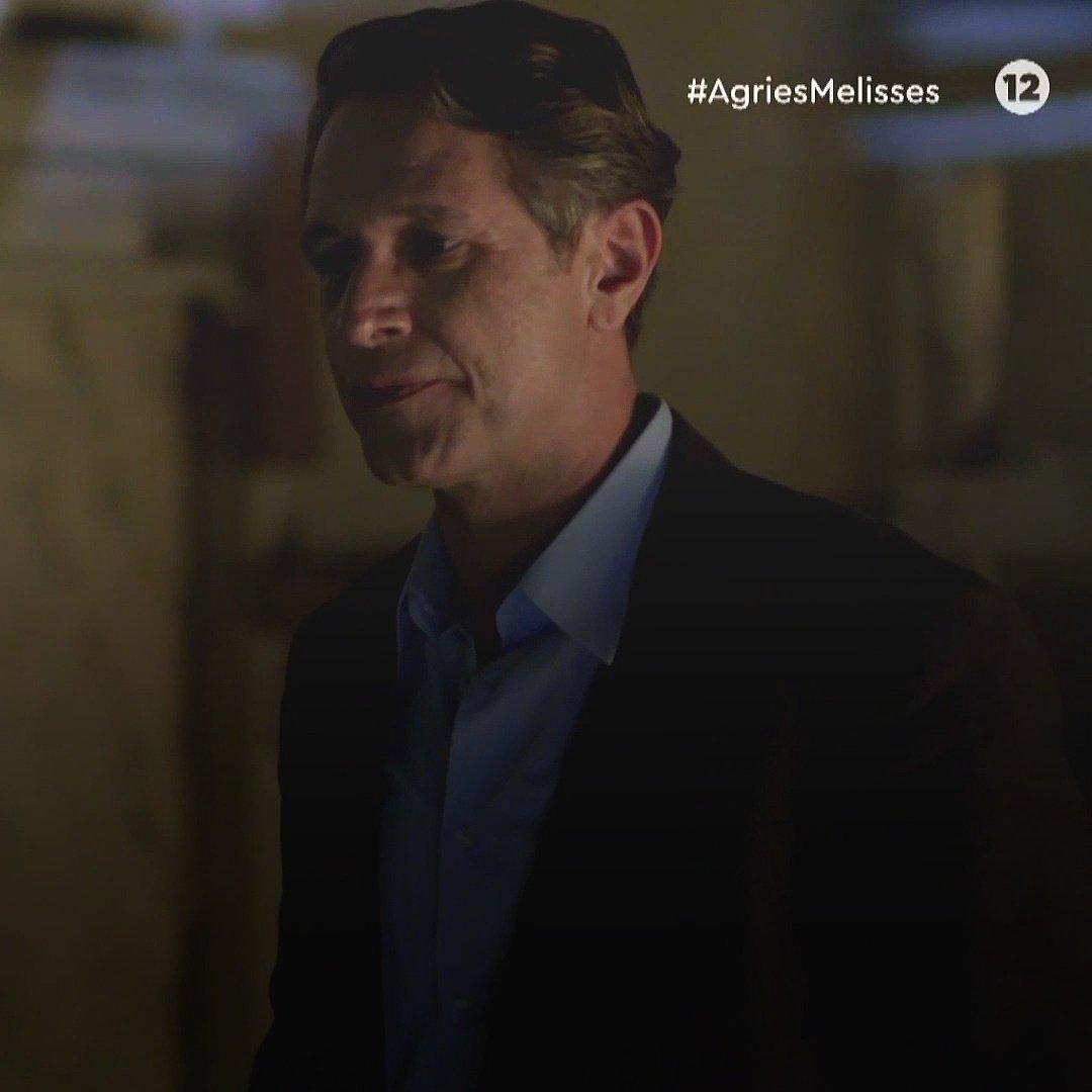 Άγριες-Μέλισσες-Ακύλας Άγριες-Μέλισσες-Ακύλας