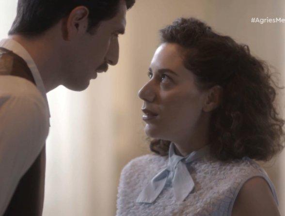 Άγριες-Μέλισσες-Μελέτης-Πηνελόπη