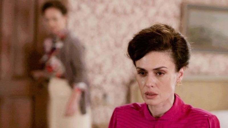 Άγριες-Μέλισσες-Ζωή