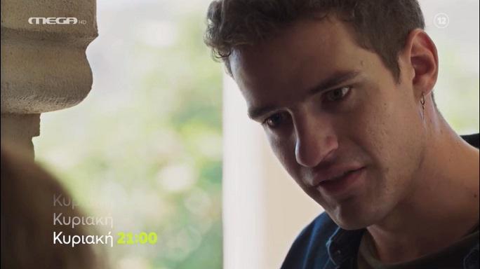 Η-Γη-της-Ελιάς-Στέφανος