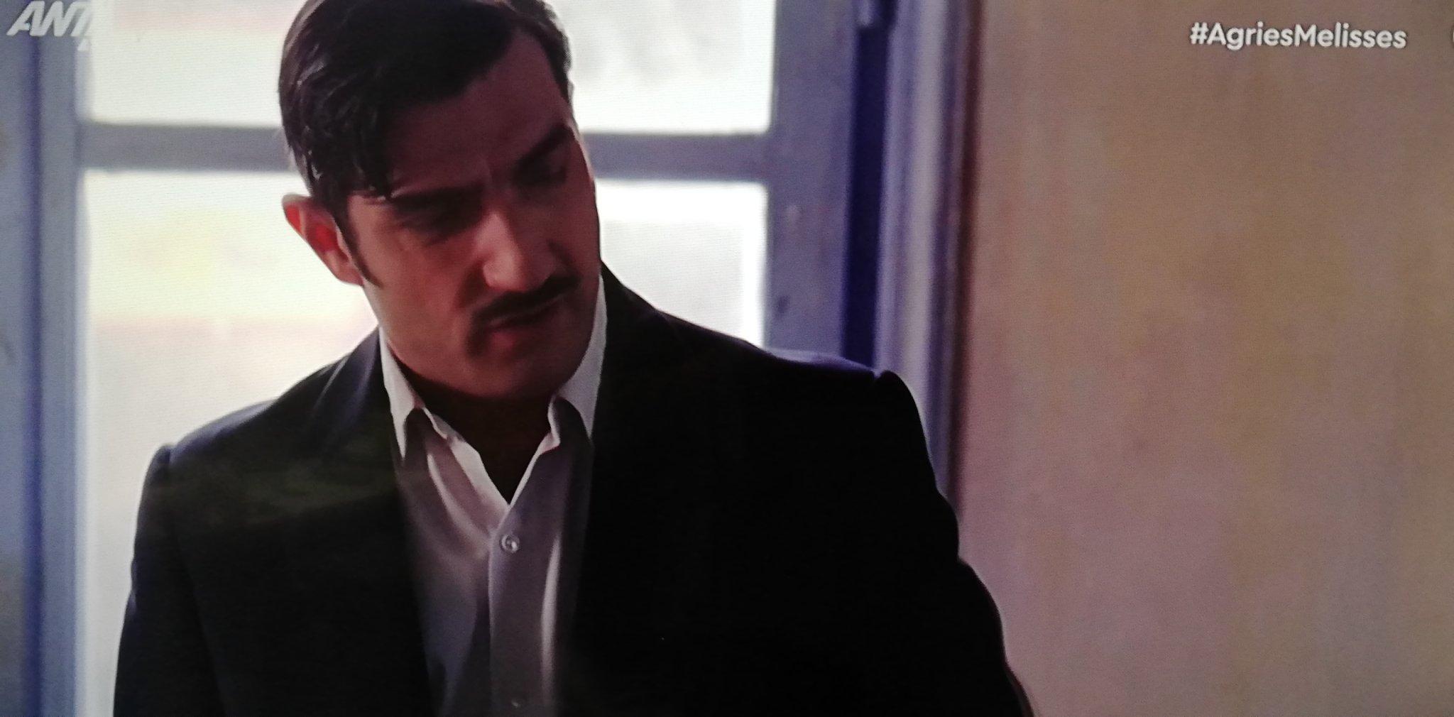 Άγριές-Μέλισσες-Ζάχος