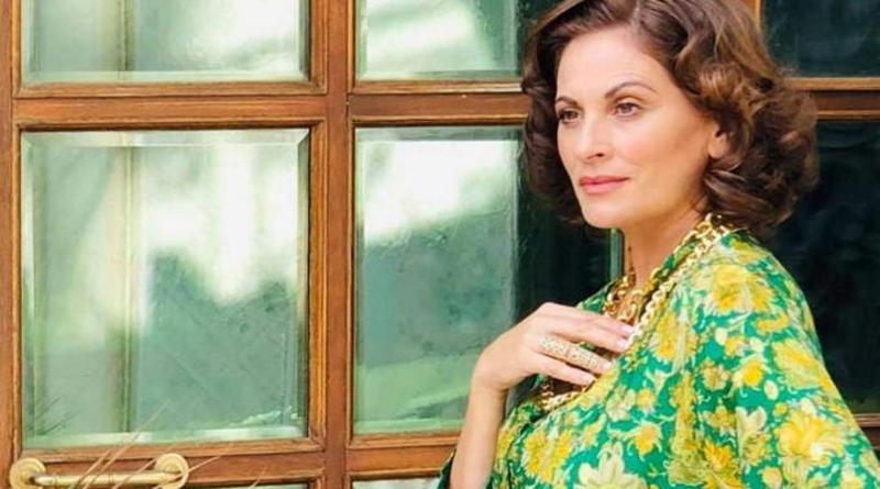 Άγριες-Μέλισσες-Βιολέτα Άγριες-Μέλισσες-Βιολέτα