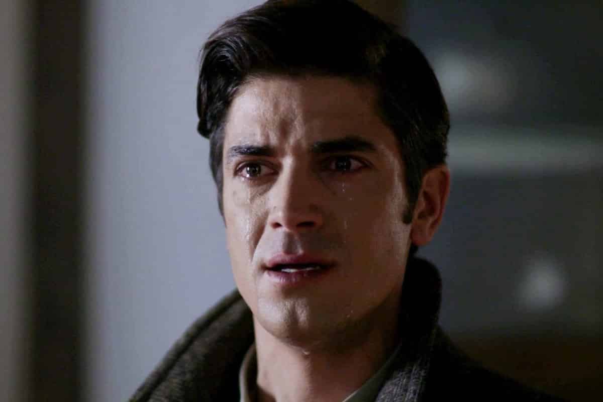 Άγριες Μέλισσες-Θανάσιμος-κίνδυνος-για-τον-Λάμπρο-