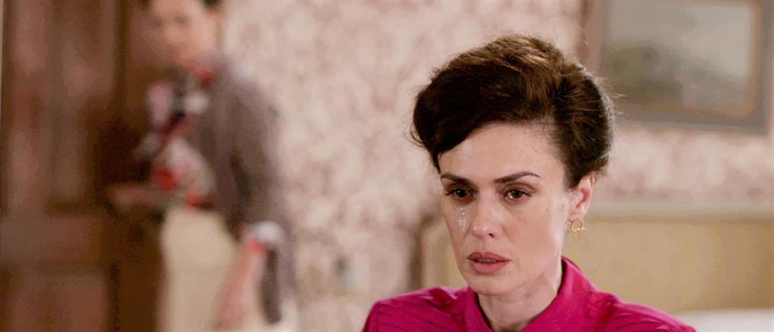 Άγριες-Μέλισσες-Ζωή 