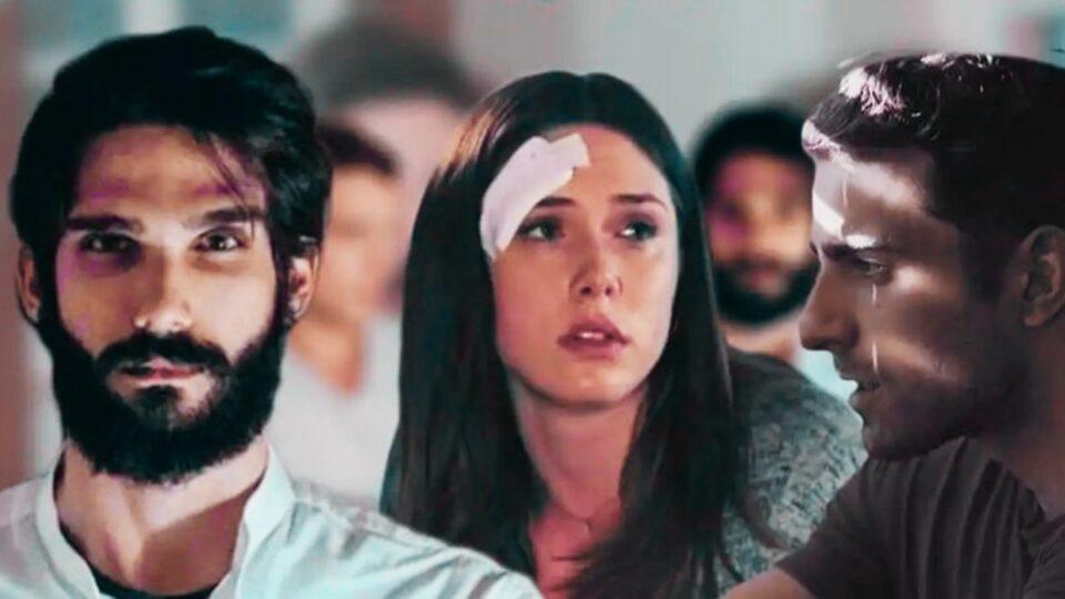 Η Γη της Ελιάς-ο-Αλέξης-ετοιμάζει-το-επόμενο-δολοφονικό-χτύπημα- Η Γη της Ελιάς-ο-Αλέξης-ετοιμάζει-το-επόμενο-δολοφονικό-χτύπημα-