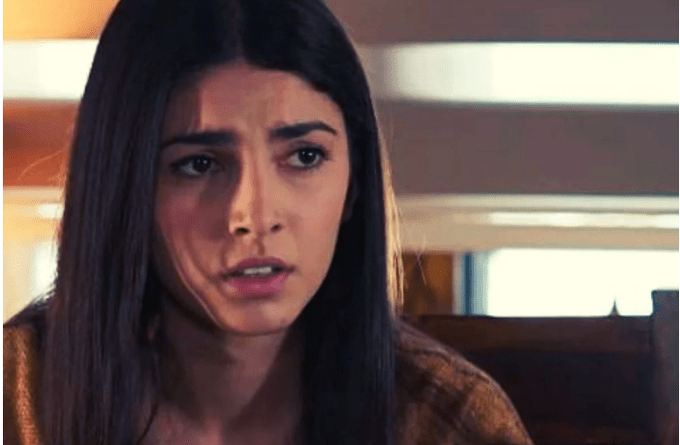 Η-Γη-της-Ελιάς-Βασιλική