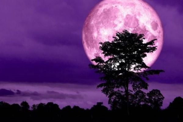 Πανσέληνος-Απριλίου-2022-Ροζ-Φεγγάρι Πανσέληνος-Απριλίου-2022-Ροζ-Φεγγάρι