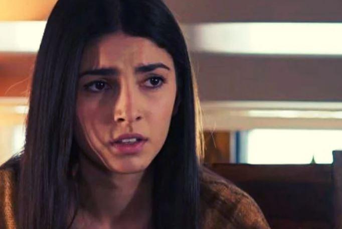 Η-Γη-της-Ελιάς-Βασιλική