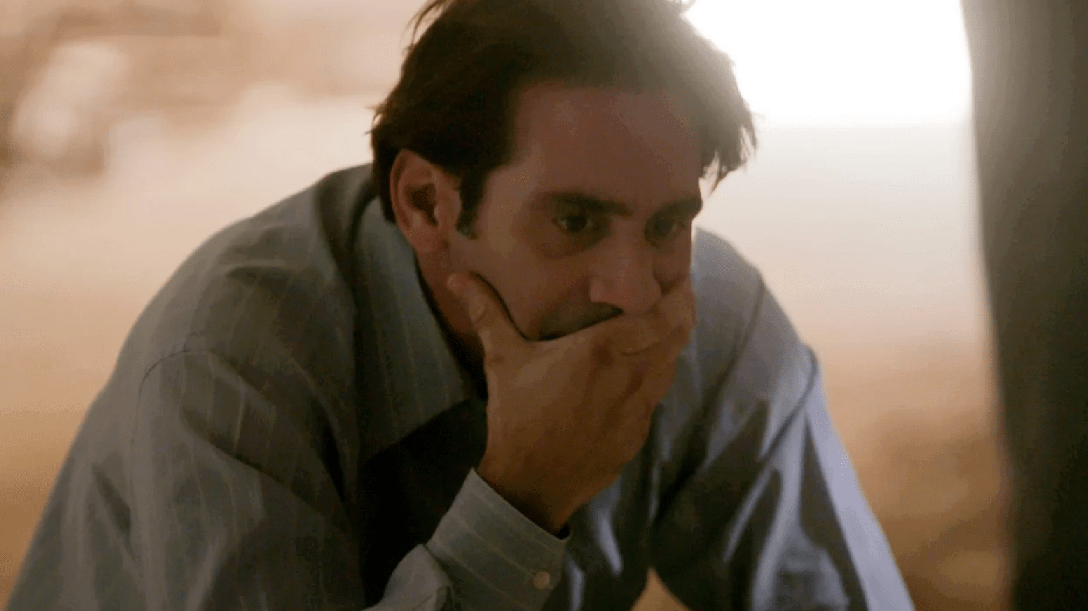 Άγριες Μέλισσες-Πέτρος Ορφανίδης-