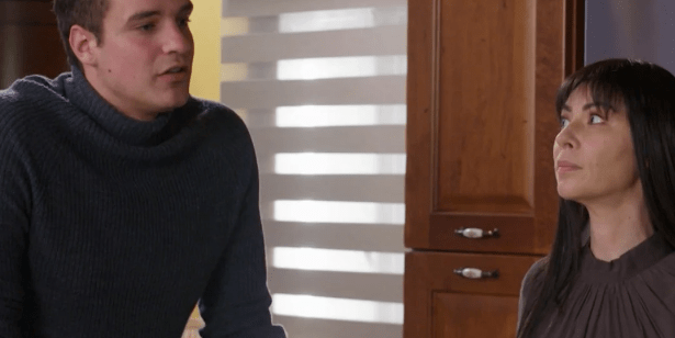 Η Γη της Ελιάς-Στέφανος-Αρετή-