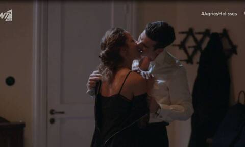 Άγριες Μέλισσες-Ασημίνα-Νικηφόρος-