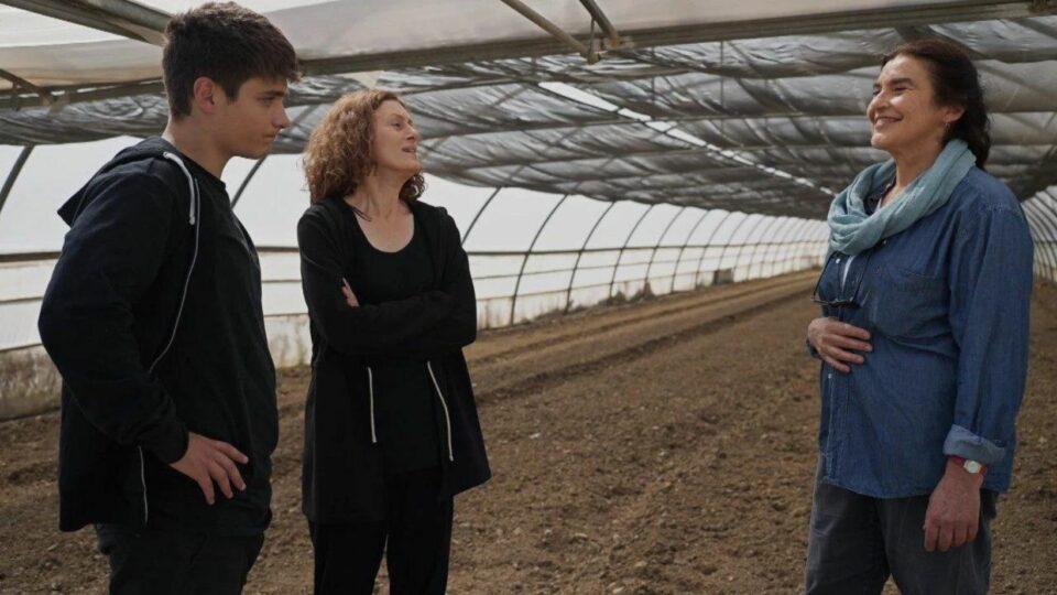 Η Γη της Ελιάς-Φίλιππος- Η Γη της Ελιάς-Φίλιππος-